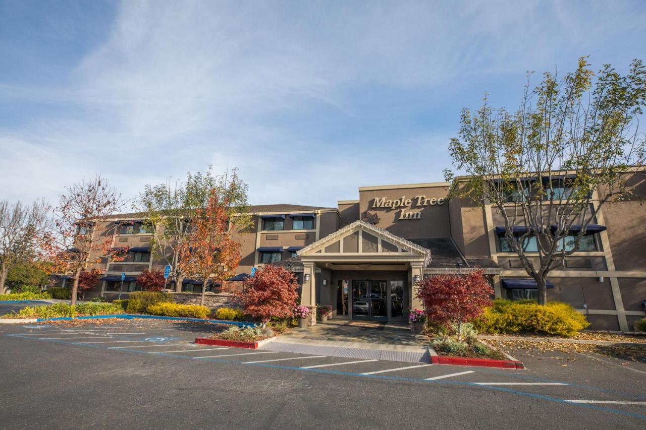 Maple Tree Inn Sunnyvale Luaran gambar