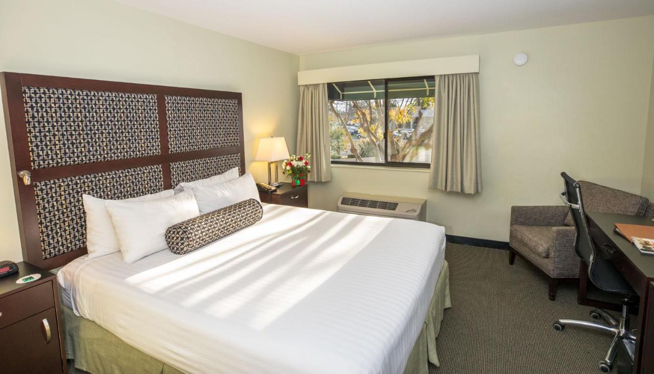 Maple Tree Inn Sunnyvale Luaran gambar